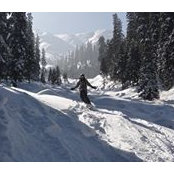 Thorley Robbins's photo