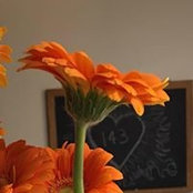 Barbara Barry's photo