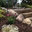 C N'R Lawn N' Landscape