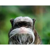 Alex Gollcher's photo