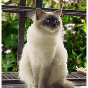 Marion Dudek's photo