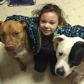 Amy Johnson's photo