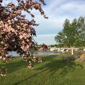 Julie Roy's photo
