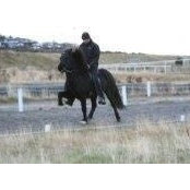 Helgi Olafsson's photo