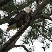 Kathy Hensel's photo