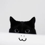 Serge Ulrikh's photo