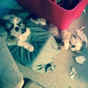 Beverly Martin's photo