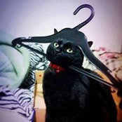 Mari Jose Arreguin's photo