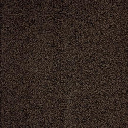 Nylon Carpet - Timeless Placement - Flooring
