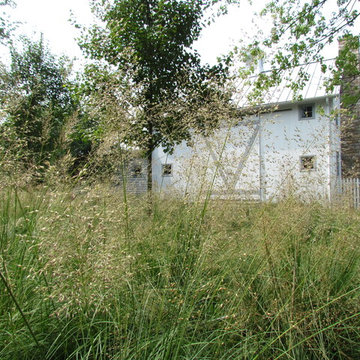 The Barn