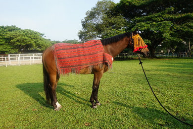 Horse Carpet/Saddle bag