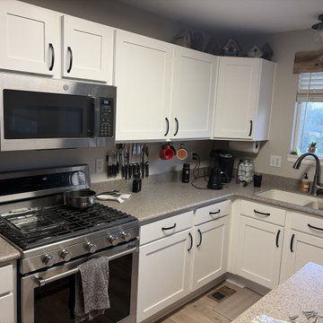 Broomfield, CO Kitchen Replacement Shaker Panel Project