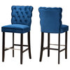 Tandy Contemporary Upholstered 2-Piece Bar Stool Set, Navy Blue/Dark Brown