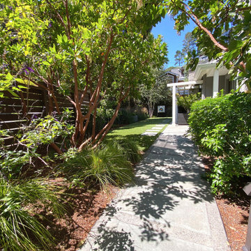 Landscape Renovation and Lawn Replacement - Mill Valley, CA