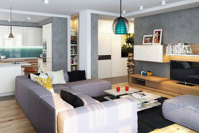 Living room - contemporary living room idea in Other