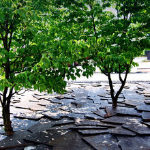 landscapes