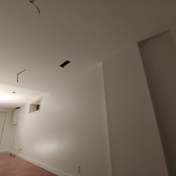 Bankview Basement SW