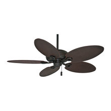 Ceiling Fans