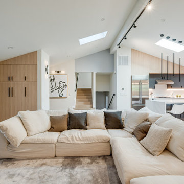 Modern House