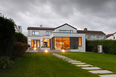 Inspiration for a contemporary house exterior in Dublin.