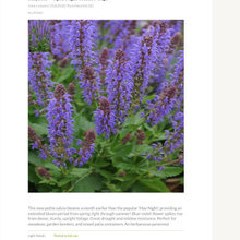 Landscaping Flowers, Shrubs, Etc