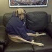 Alexis DeRemigi's photo