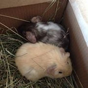 Jacqui Conway's photo
