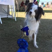 Nicole Wakida's photo
