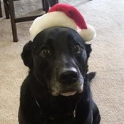 Casie Miller's photo