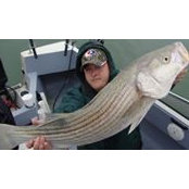 Frank Mote's photo