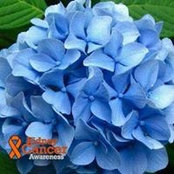 Lisa Rychter's photo