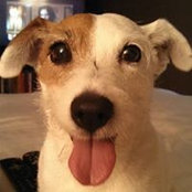 Kevin Gowdy's photo