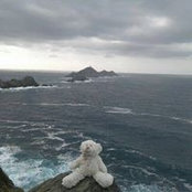 Muriel Molinier's photo