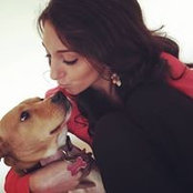 Giana Casale's photo