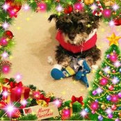 Mandy Waitner-Mcclellan's photo