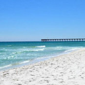 Sandra Gibson's photo
