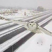 Cheryl Fischer's photo