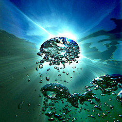 The Living Light: Vivant - Fine Art Prints