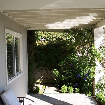 Landscape Design & Installation