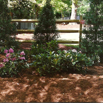 Lawn Maintenance