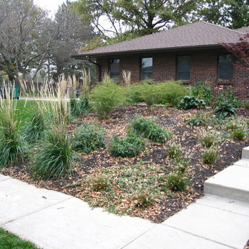 Mary and Terry Planting Project