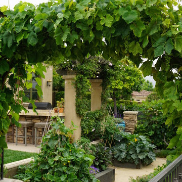 Urban Residential Garden