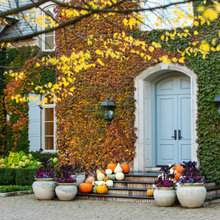 Fall Decor