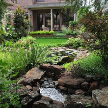 backyard project.