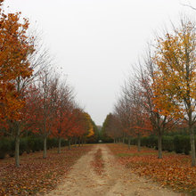 Farm Grounds