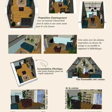 Aménagement et décoration d'un salon (Le Gast)