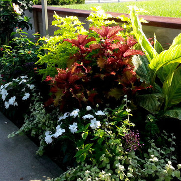 Annual Plantings