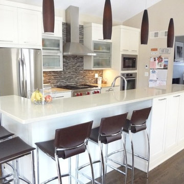 Contemporary White Shaker Kitchen Munster Indiana