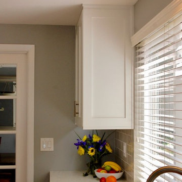 Contemporary Galley Kitchen