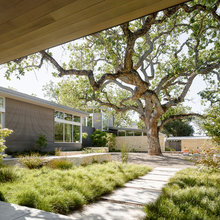 Exterior Siding